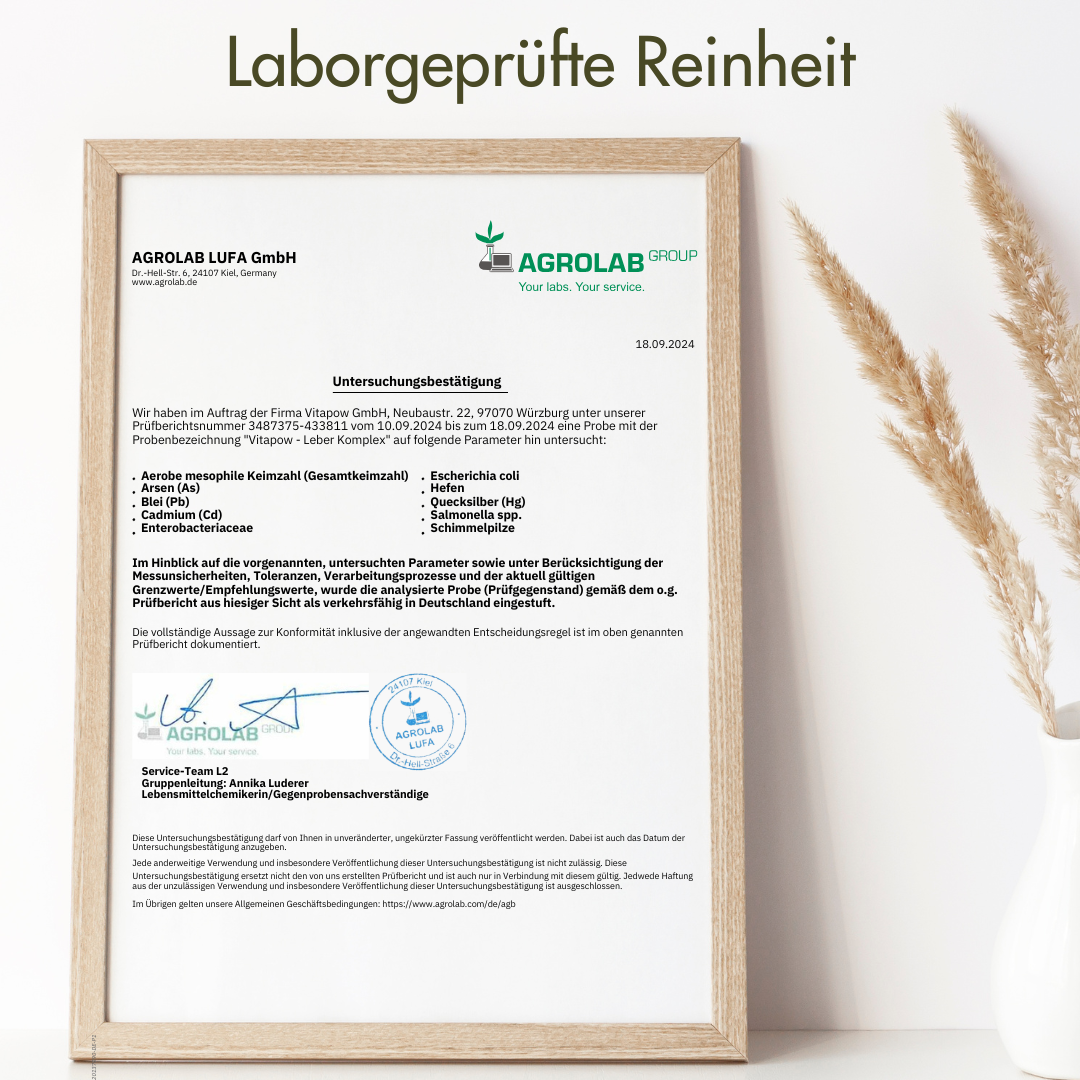 Leber-Komplex: Mariendistel, Artischocke, Löwenzahn, Cholin, Inositol